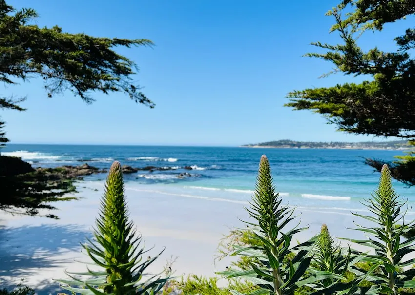 Carmel Point beach