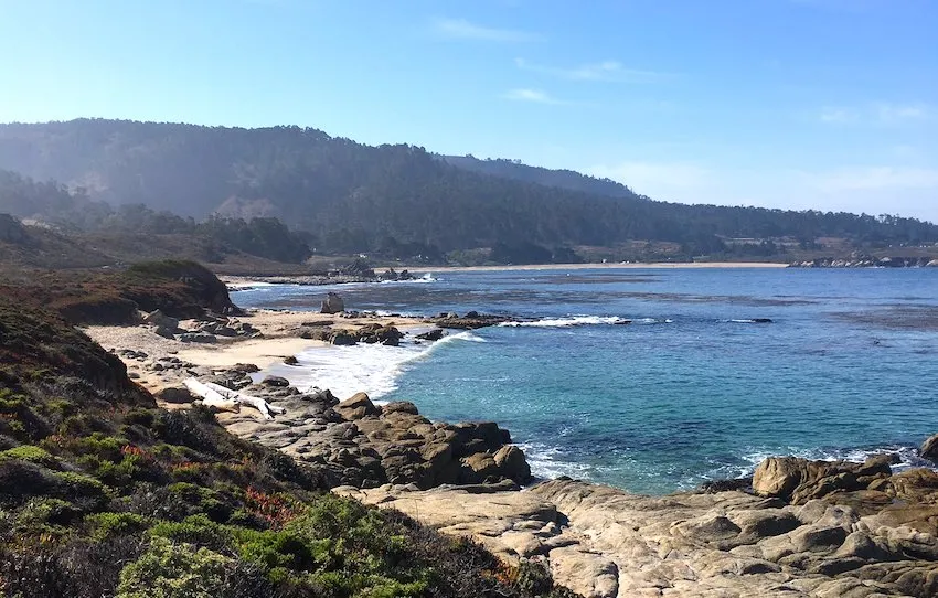 Carmel River State Beach