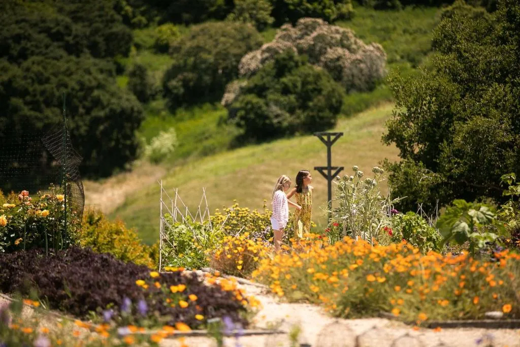 Carmel Valley Ranch by Hyatt, photo 4