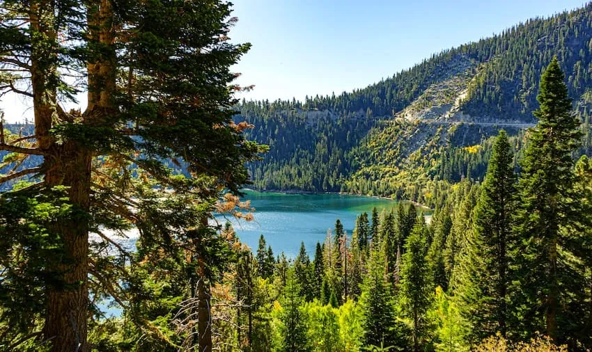 Green nature surrounding Lake Tahoe