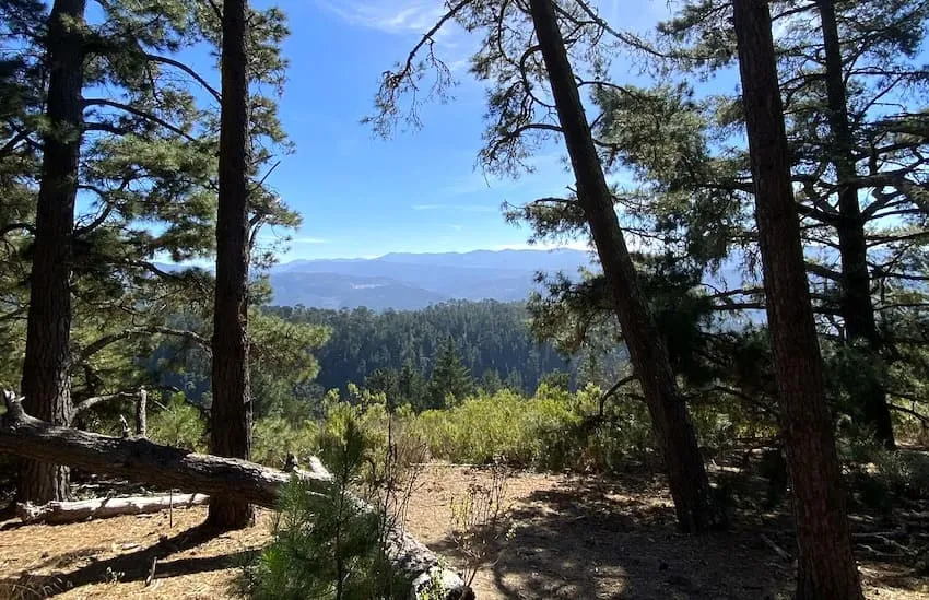 Jacks Peak County Park