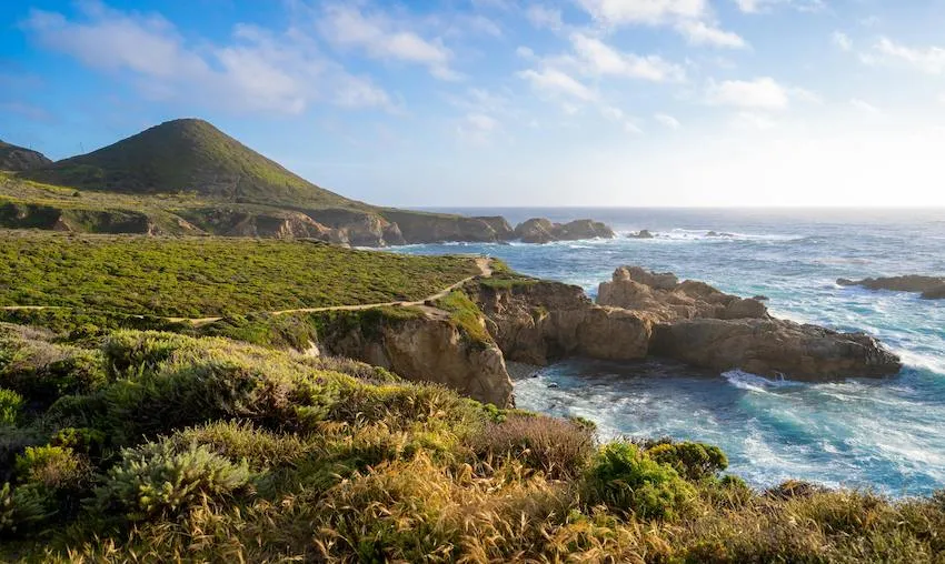 Flora & Fauna in Carmel by the Sea
