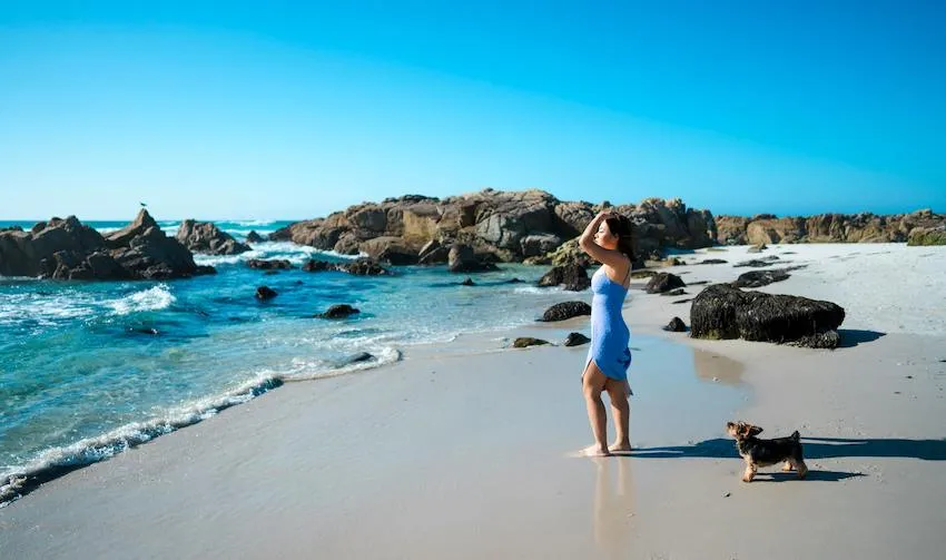 Woman with her dog at monterey pebble beach